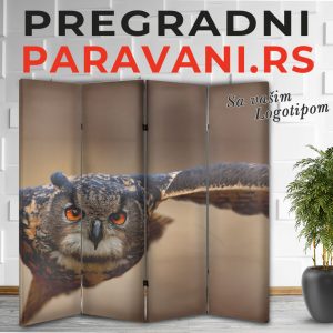 Paravan - Sova 001