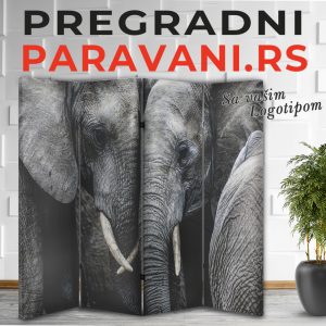 Paravan - Slon 002