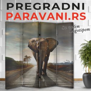 Paravan - Slon 004