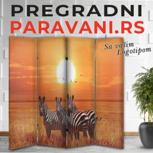 Paravan - Zebra 001