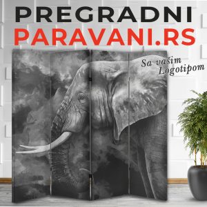Paravan - Slon 006