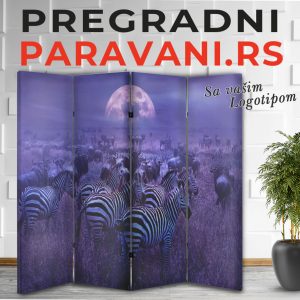 Paravan - Zebra 002
