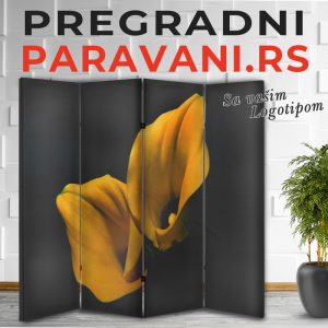 Istaknuti detalj 004