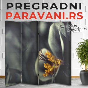 Istaknuti detalj 007