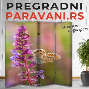 Cvetni paravani 014