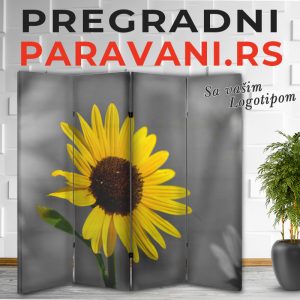 Istaknuti detalj 015