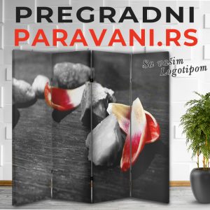 Istaknuti detalj 016