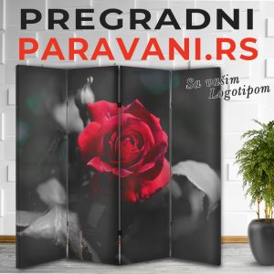 Istaknuti detalj 021