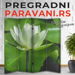 Feng Shui paravan 027
