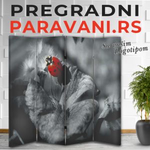 Istaknuti detalj 029