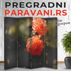 Cvetni paravani 034