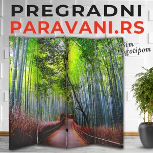 3D paravan 056