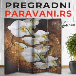 3D paravan 064