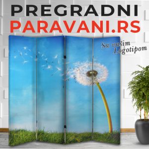 3D paravan 065