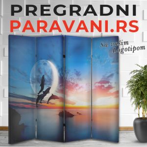 Paravan - More 017