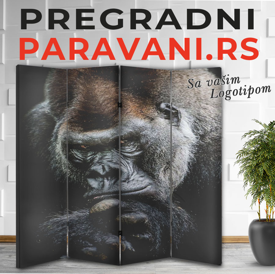 Paravan - Gorila 1 Paravan - gorila