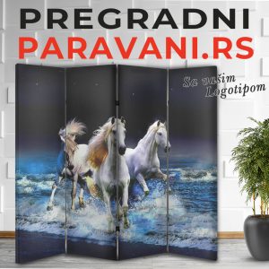 Paravan - Konji 002