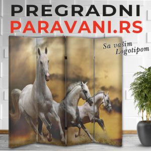 Paravan - Konji 005