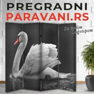 Paravan - Labud