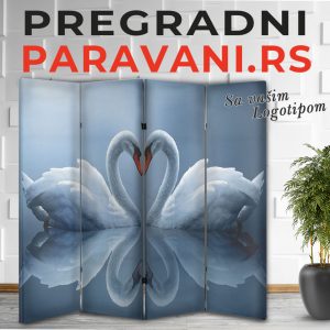 Paravan - Labudovi