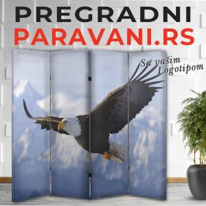 Paravan - Soko